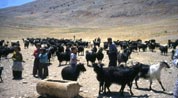 Central Turkey: the plains of Anatolia