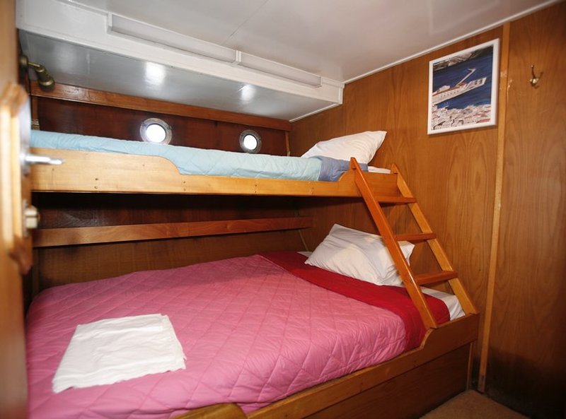 Irina standard tiple cabin