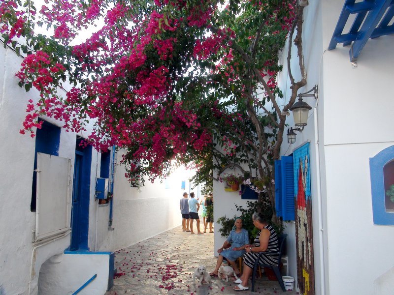 Typical small Greek street with bougainvillea