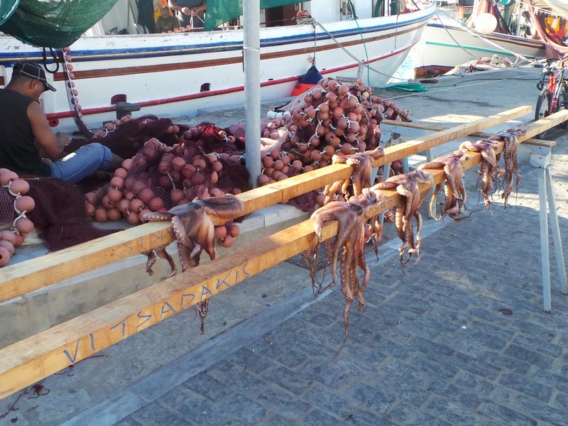 Eating octopus in Greece